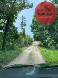 Terreno en venta, carretera zona arqueológica, Palenque, Chiapas