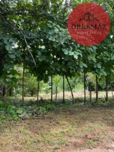 Terreno en venta, carretera zona arqueológica, Palenque, Chiapas