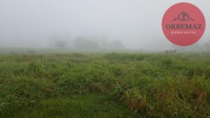 Terreno en venta, El Porvenir Parrilla; Centro, Tabasco