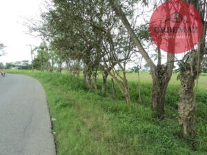 Terreno en venta, Rancho San Lorenzo, Ixtacomitán, 5ta Sección ; Centro, Tabasco