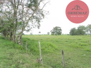 Terreno en venta, Rancho San Lorenzo, Ixtacomitán, 5ta Sección ; Centro, Tabasco