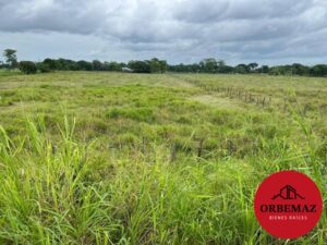 Terreno en venta, carretera Villahermosa-Teapa; Parrilla, Tabasco