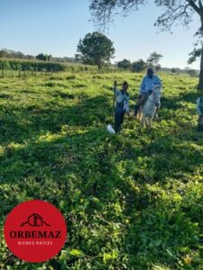 Rancho en venta, La Cuchilla; Balancán, Tabasco