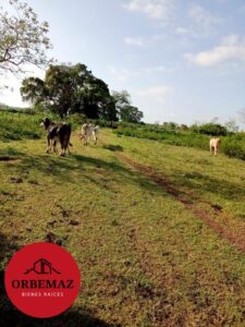 Rancho en venta, La Cuchilla; Balancán, Tabasco